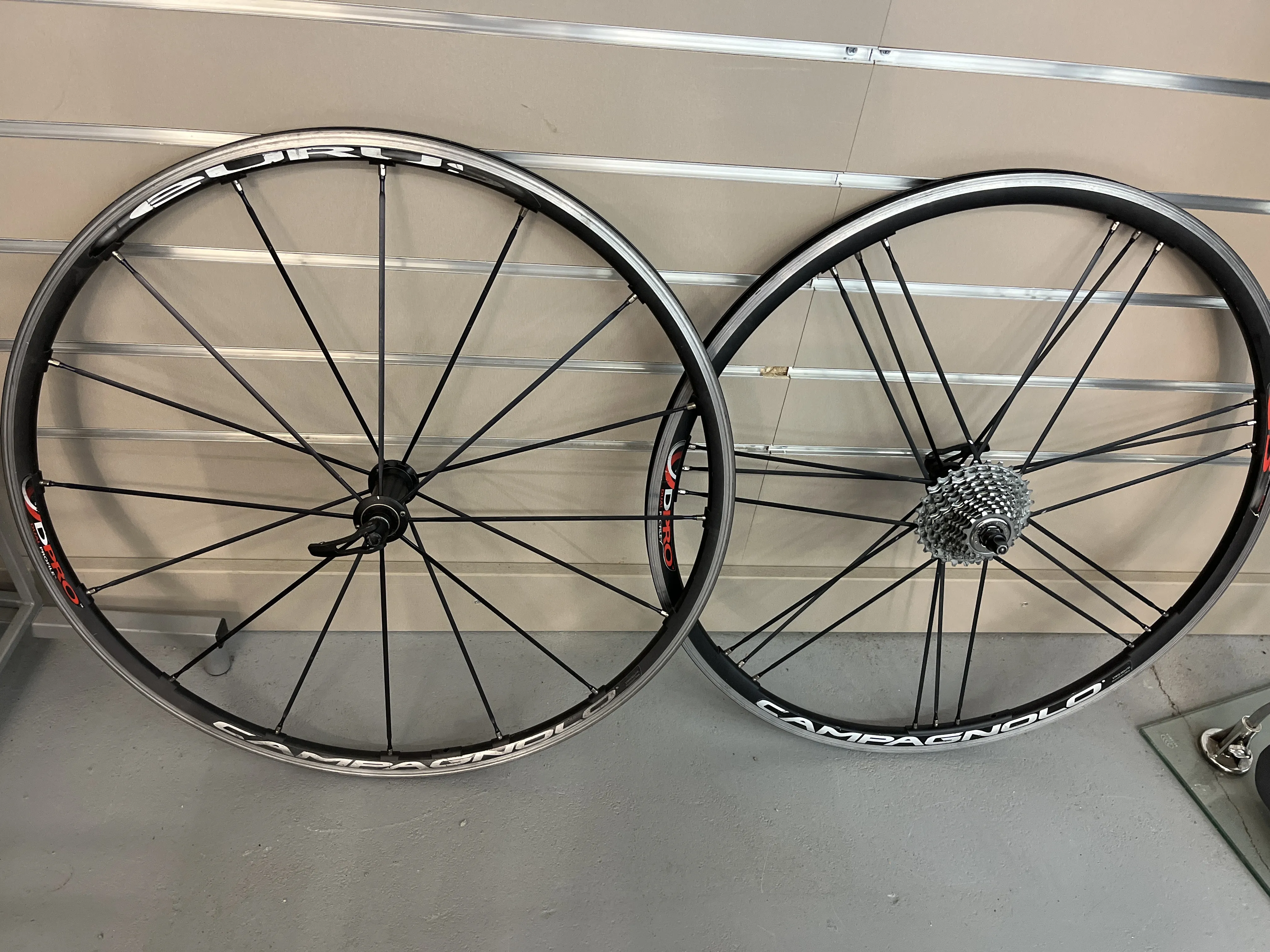 Rayon Campagnolo Eurus WH-305EUC – Avant Simple, 278,5 Mm, NOS Pour Vélo Route