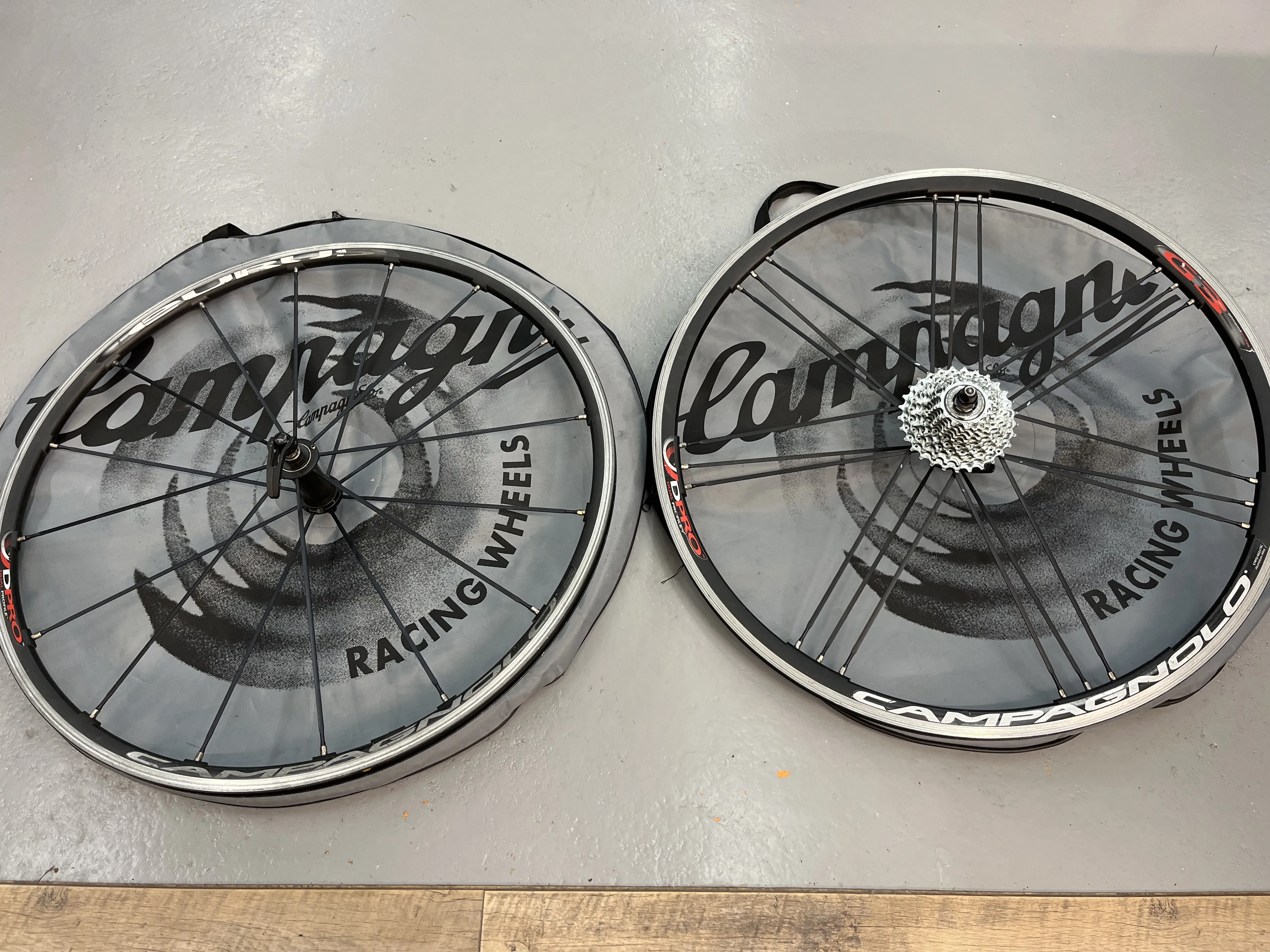 Rayon Campagnolo Eurus L 278.5 Mm Avec Mamelon - Neuf, Profil Aérodynamique