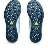 Asics FUJISPEED 2