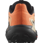 Salomon GENESIS