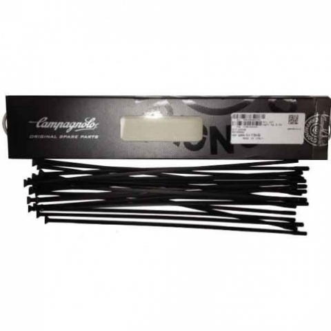 Rayon Arrière Gauche Campagnolo D’origine – EURUS / SHAMAL – 276 Mm – Neuf De Stock